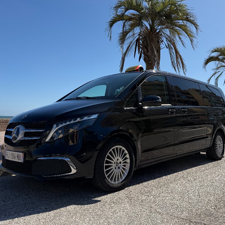 Taxi Perpignan: Mercedes