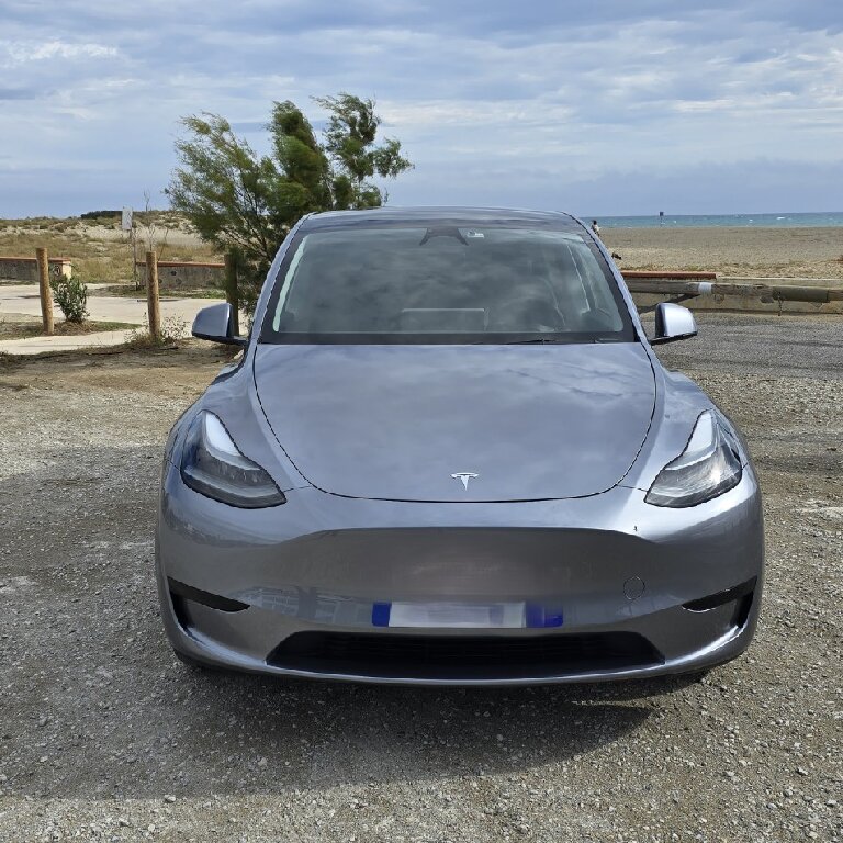 Personenvervoer Perpignan: Tesla