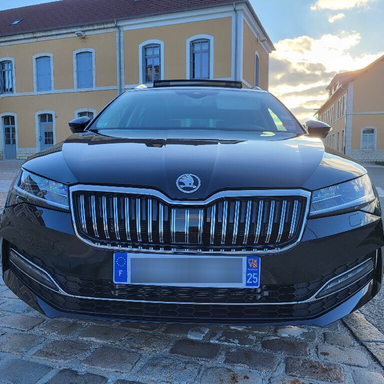 Mietwagen mit Fahrer Jougne: Skoda