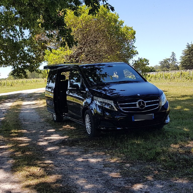 Personenvervoer Villenave-d'Ornon: Mercedes