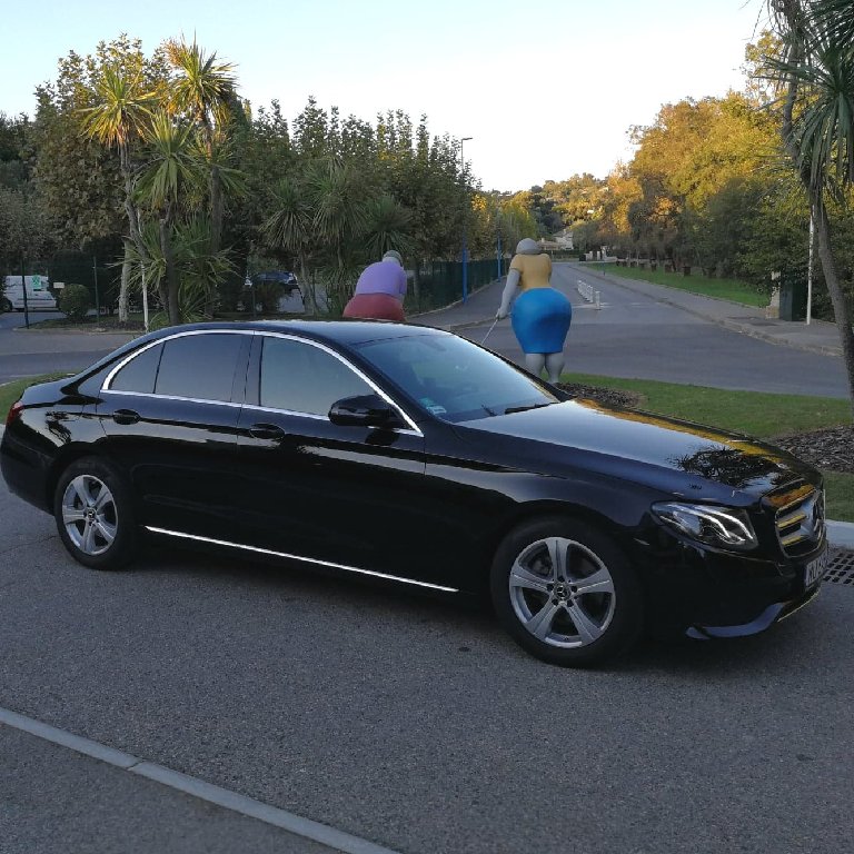 Mietwagen mit Fahrer Mandelieu-la-Napoule: Mercedes