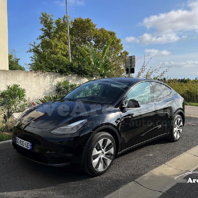 Personenvervoer Cannes: Tesla