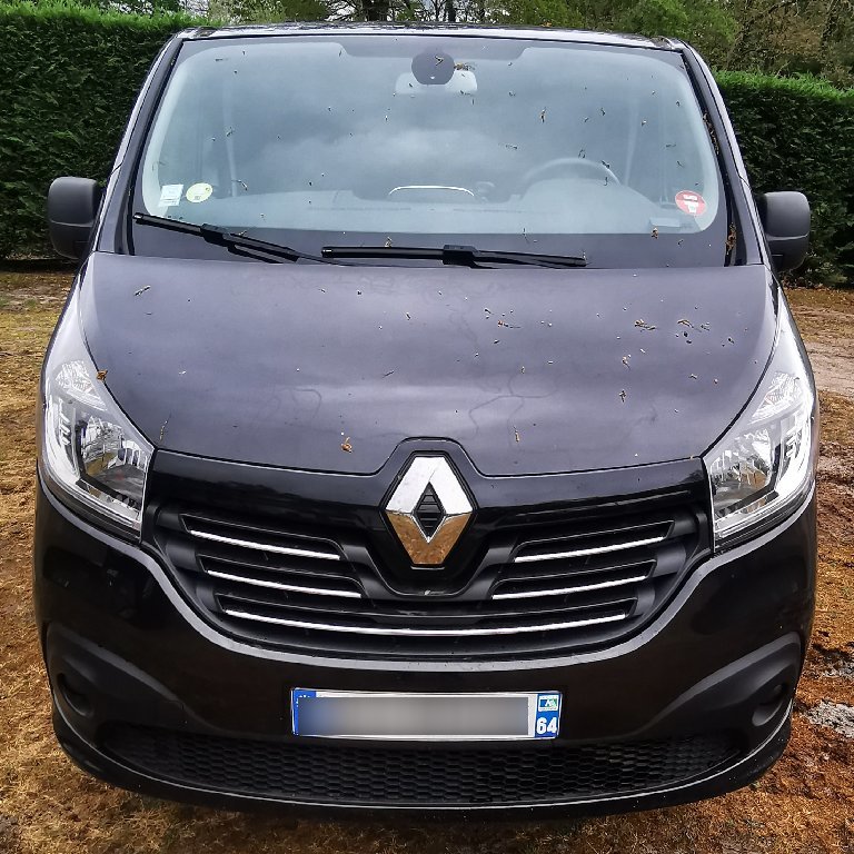 Personenvervoer Ustaritz: Renault
