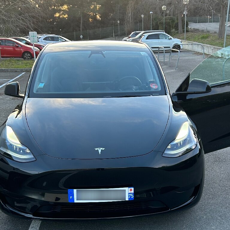 VTC Nice: Tesla