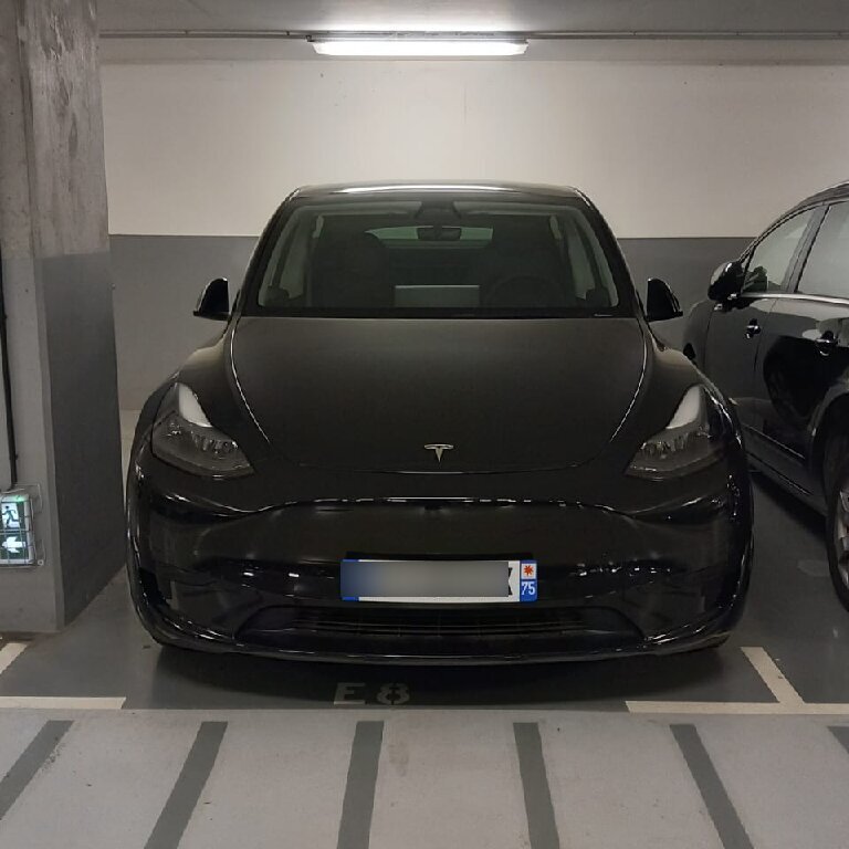 VTC Nice: Tesla