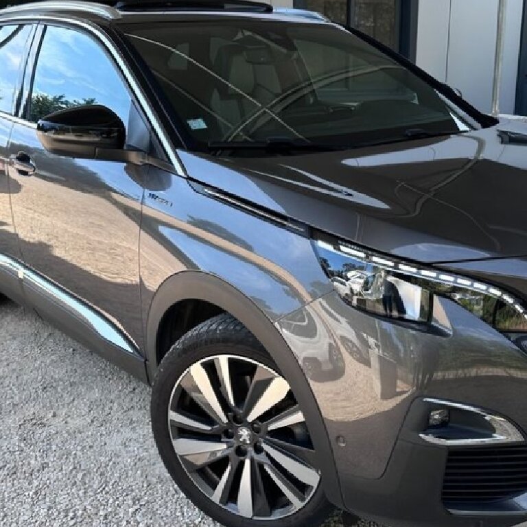 Mietwagen mit Fahrer Sainte-Marie: Peugeot