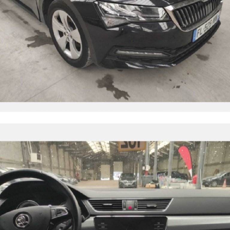 Mietwagen mit Fahrer Courbevoie: Skoda