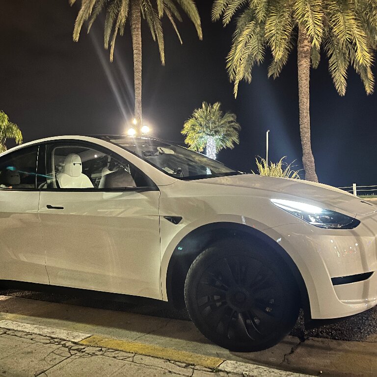 VTC Nice: Tesla