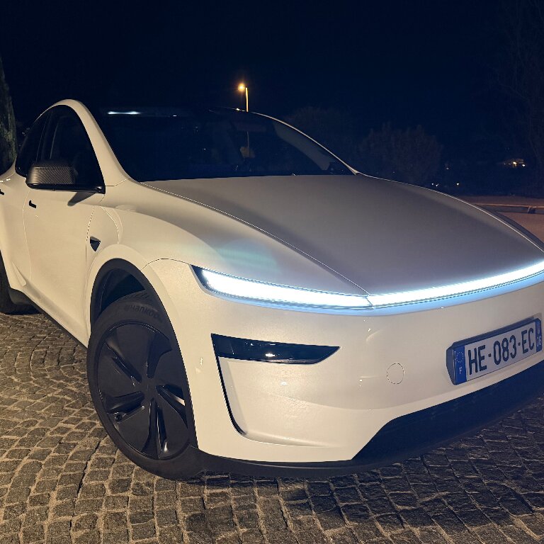 Mietwagen mit Fahrer Nice: Tesla
