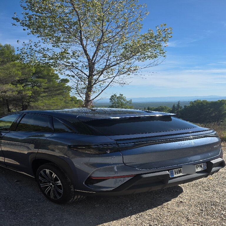Mietwagen mit Fahrer Draguignan: BYD