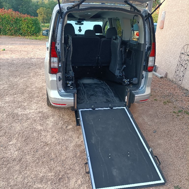 Taxi Saint-Rémy-en-Rollat: Volkswagen