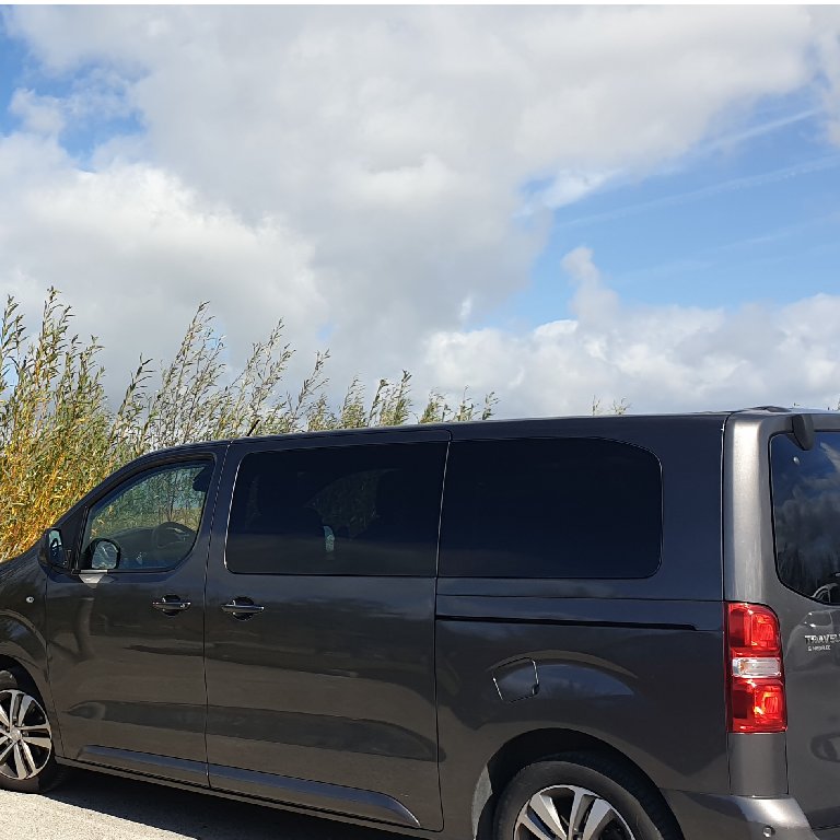 Mietwagen mit Fahrer Gosné: Peugeot