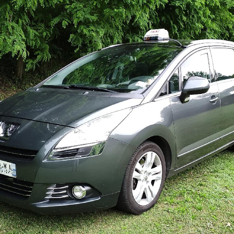 Taxi Vineuil-Saint-Firmin: Peugeot