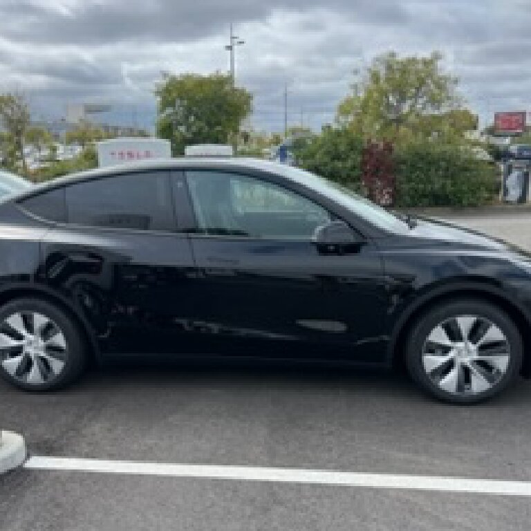 Mietwagen mit Fahrer Saint-André-de-la-Roche: Tesla