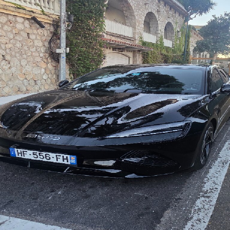 Personenvervoer Saint-Jean-Cap-Ferrat: BYD