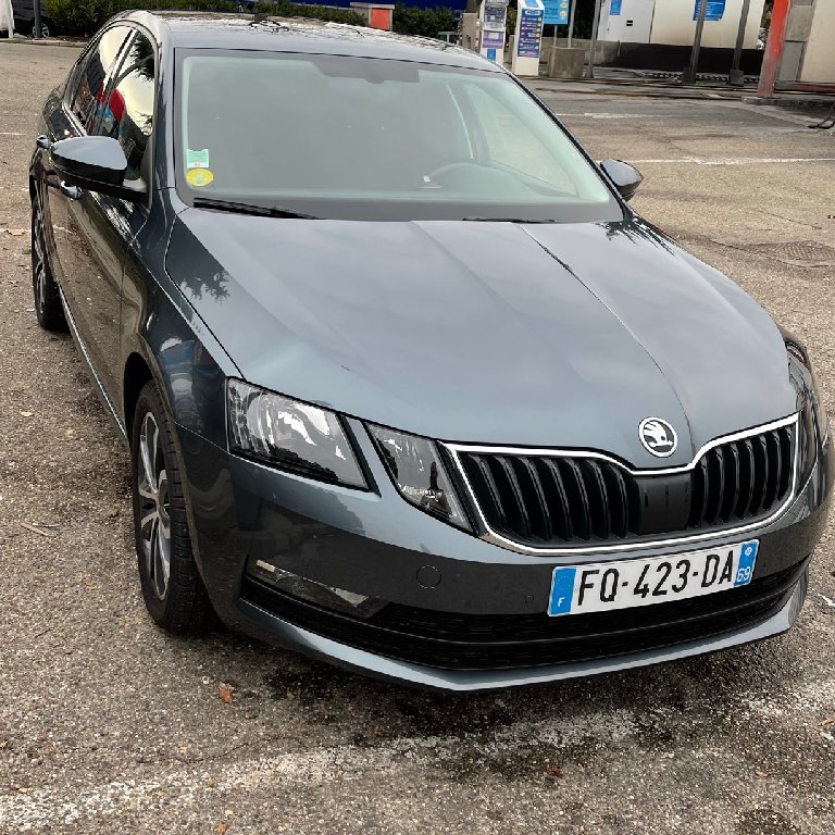 Mietwagen mit Fahrer Saint-Priest: Skoda