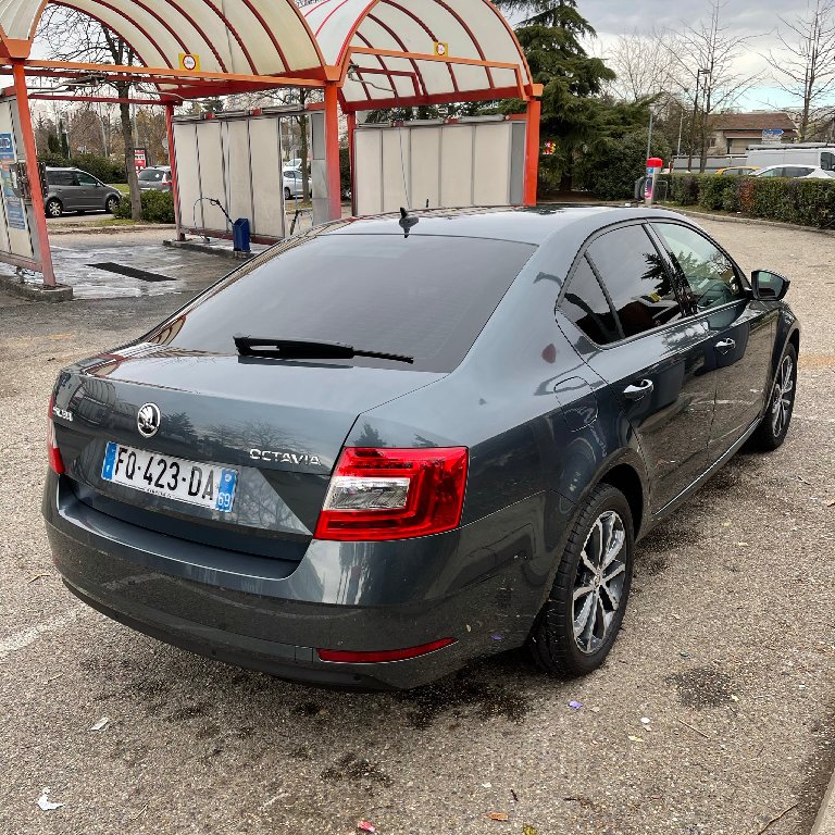 Mietwagen mit Fahrer Saint-Priest: Skoda