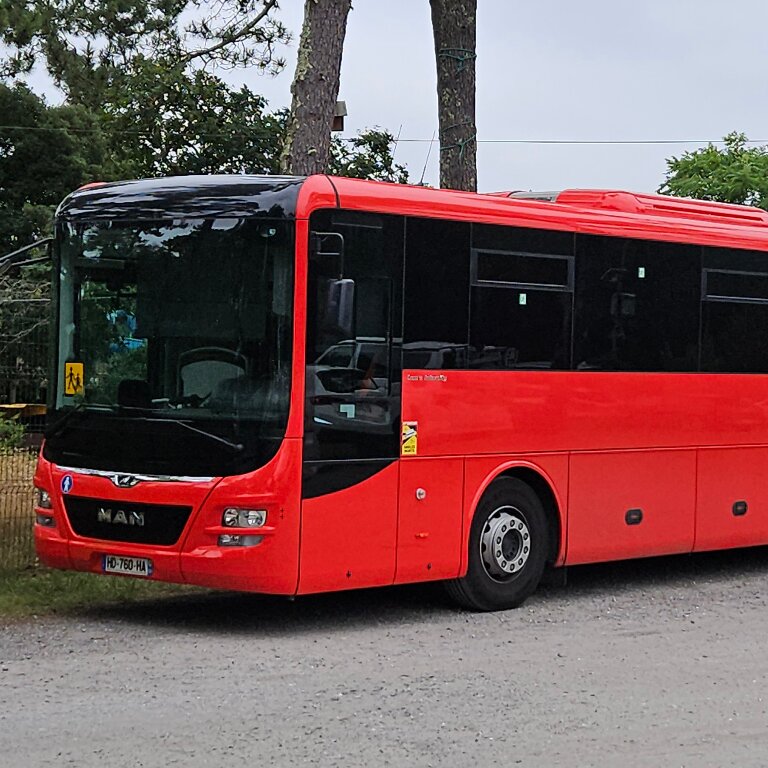 Operador de autocares Lourdes: MAN