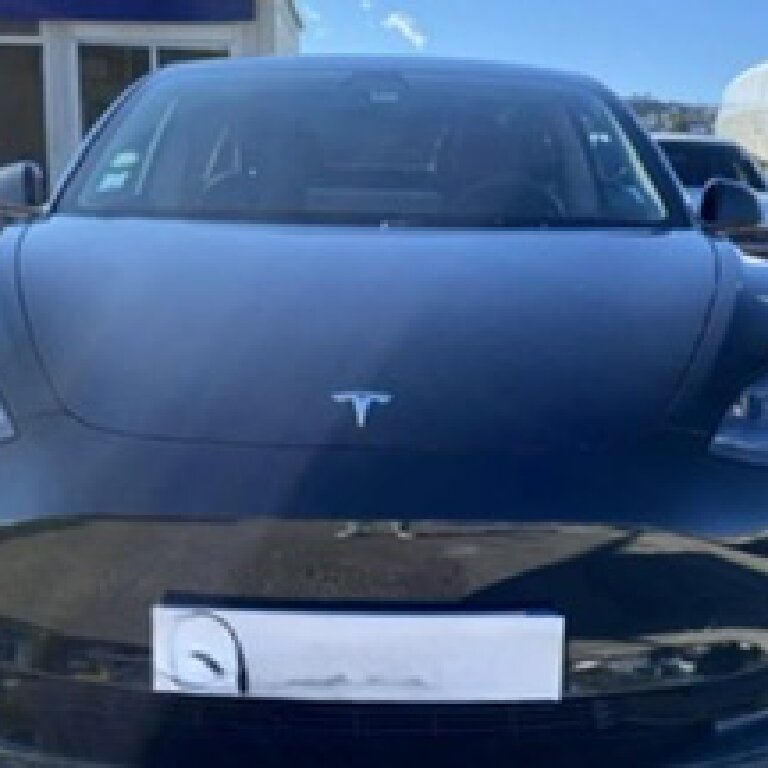 Personenvervoer Nice: Tesla