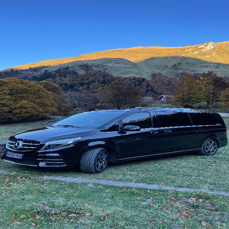 Mietwagen mit Fahrer Toulouse: Mercedes