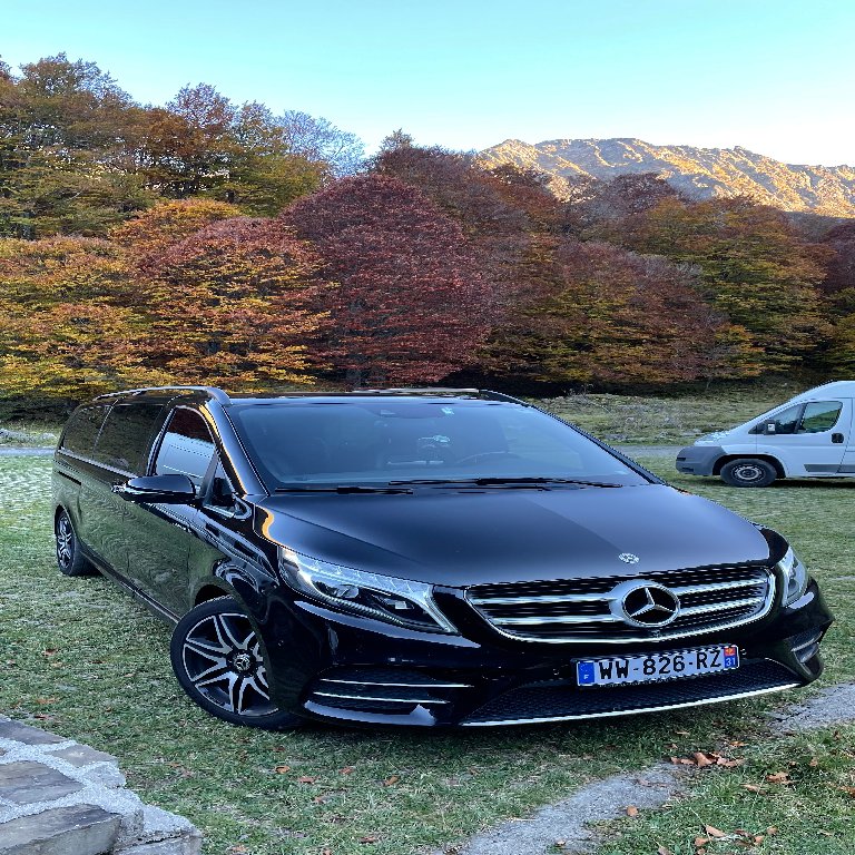 Mietwagen mit Fahrer Toulouse: Mercedes