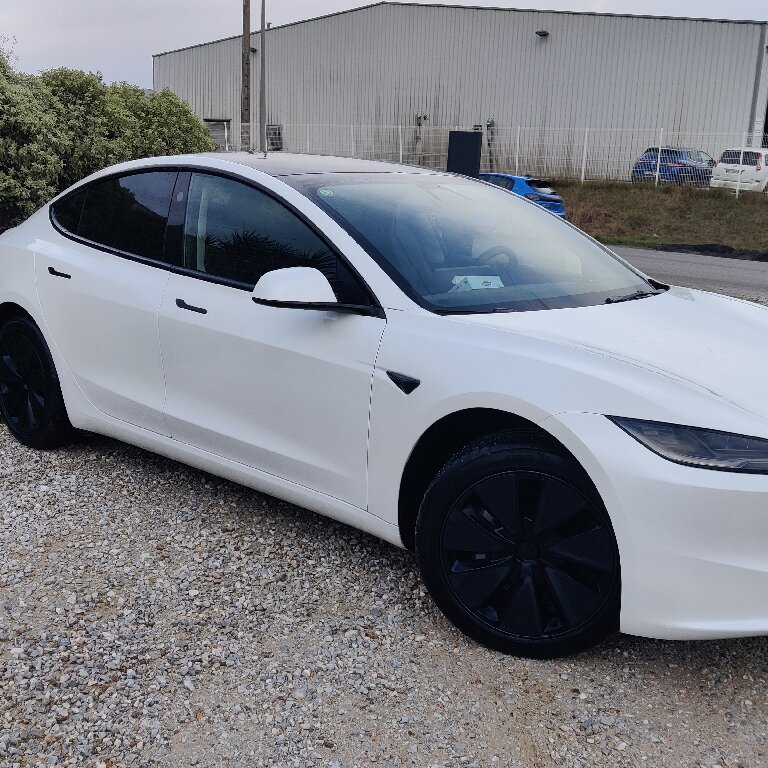 Mietwagen mit Fahrer Bram: Tesla