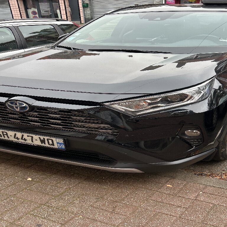 Personenvervoer Faches-Thumesnil: Toyota