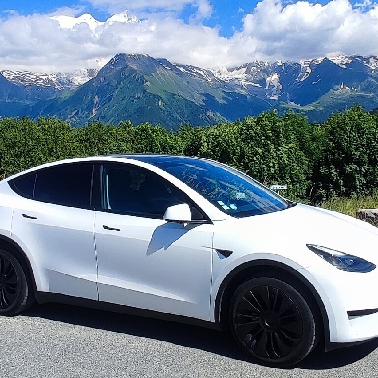 Personenvervoer Vert-Saint-Denis: Tesla