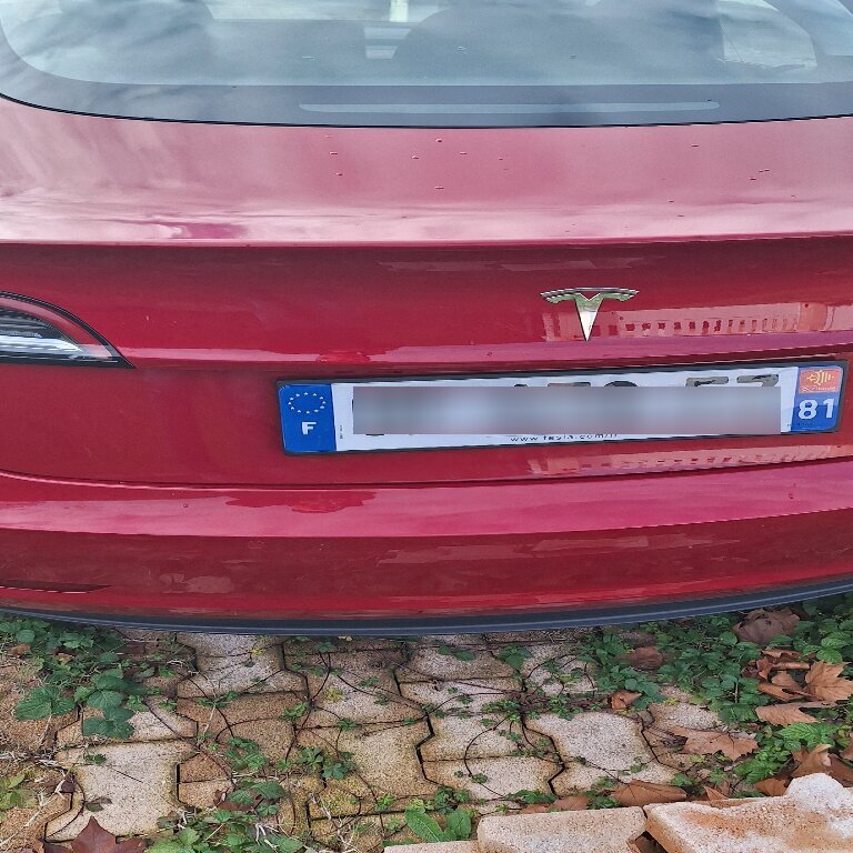 Personenvervoer Cintegabelle: Tesla
