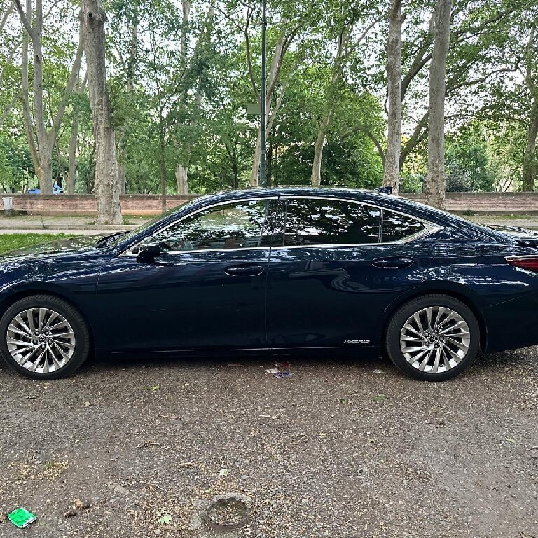 Mietwagen mit Fahrer Toulouse: Lexus