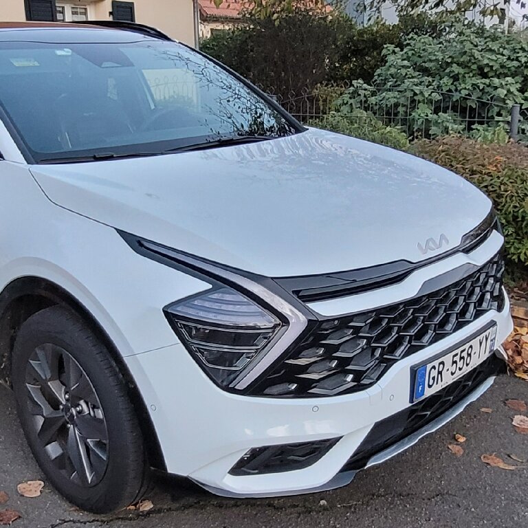 Mietwagen mit Fahrer Souillé: Kia