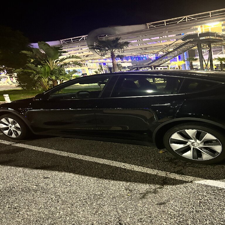 Personenvervoer Cannes: Tesla