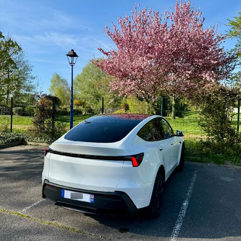 VTC Tremblay-en-France: Tesla