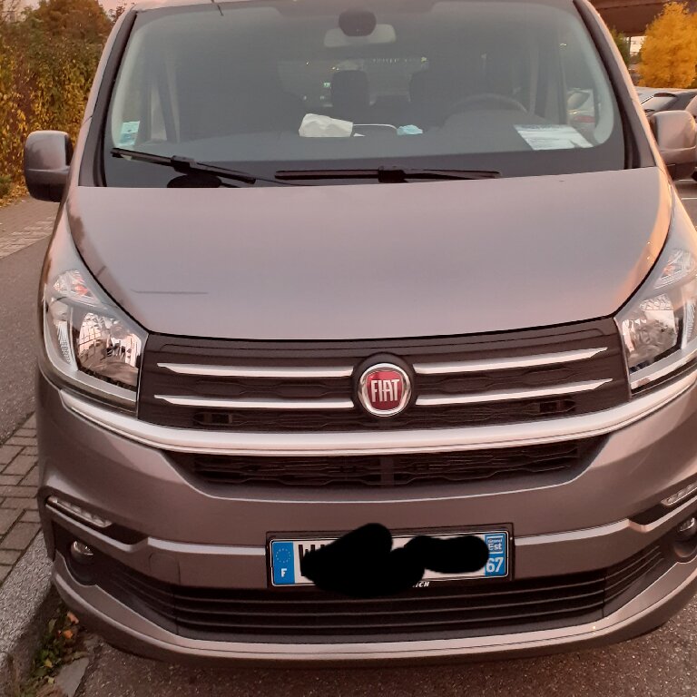 Mietwagen mit Fahrer Strasbourg: Fiat