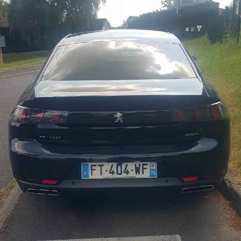 Mietwagen mit Fahrer Domont: Peugeot