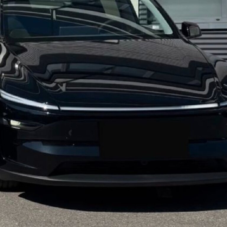 Personenvervoer Bordeaux: Tesla