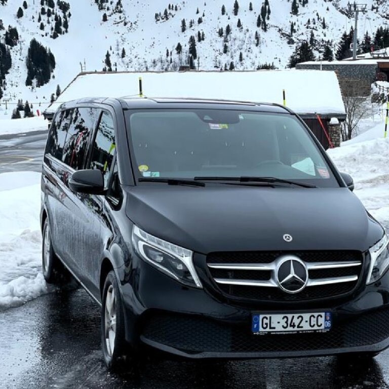 Mietwagen mit Fahrer Aix-les-Bains: Mercedes