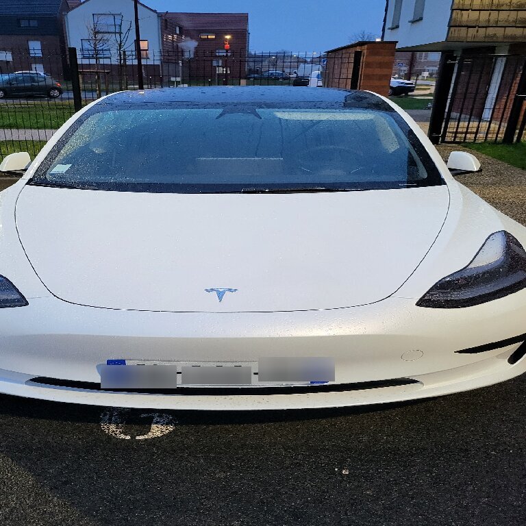 Personenvervoer Pecquencourt: Tesla