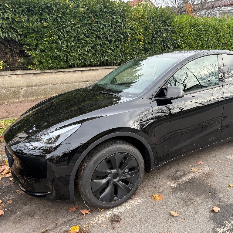 VTC Le Blanc-Mesnil: Tesla