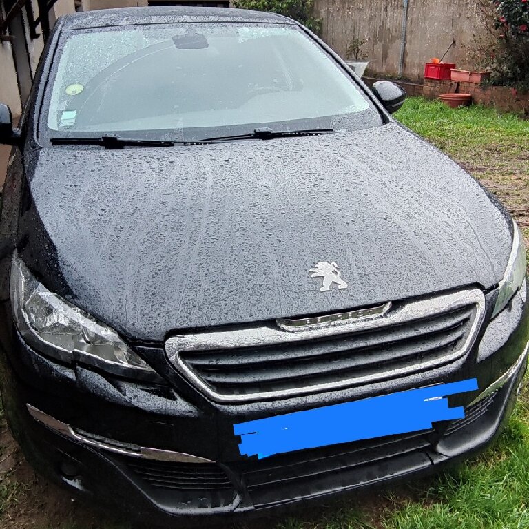 Mietwagen mit Fahrer Poissy: Peugeot