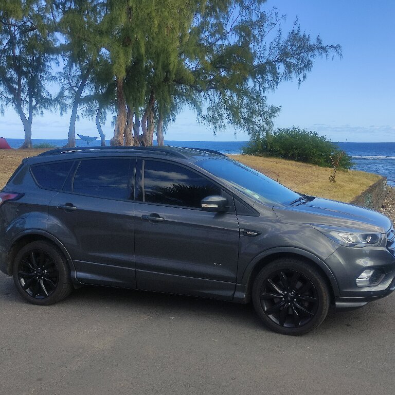 Mietwagen mit Fahrer Saint-Leu: Ford