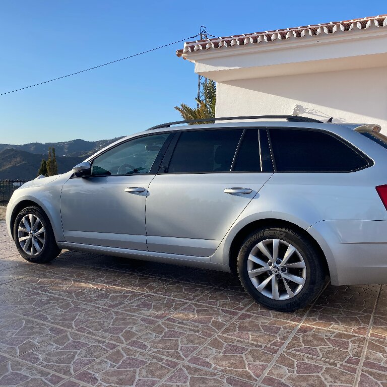 VTC Eymet: Skoda