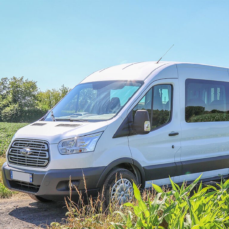 Taxi Salignac-Eyvigues: Ford