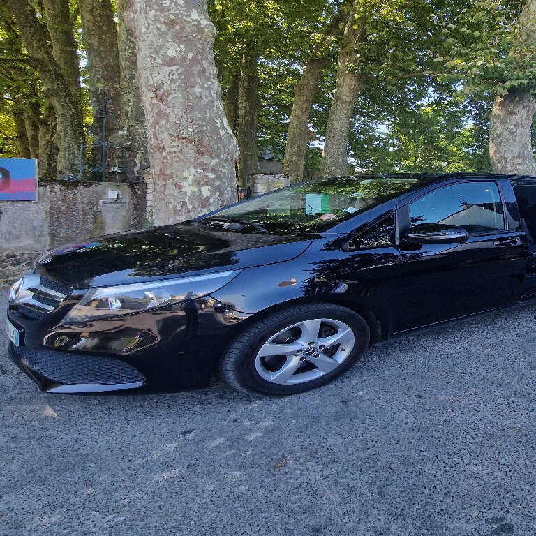 Mietwagen mit Fahrer Tours: Mercedes