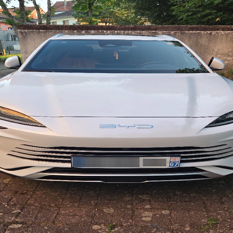 Personenvervoer Bischwiller: BYD