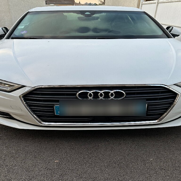Personenvervoer Meyzieu: Audi