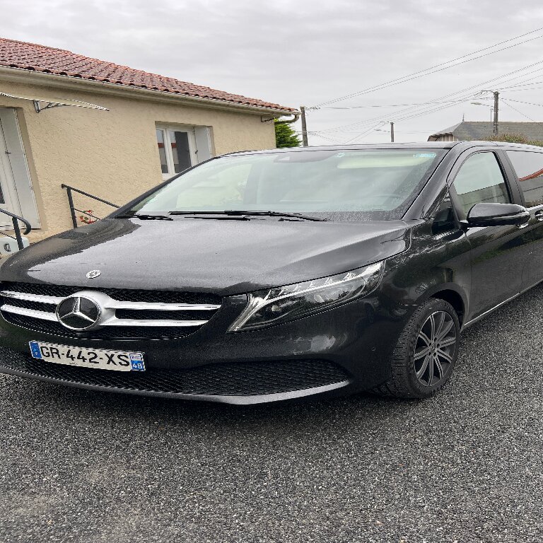 Mietwagen mit Fahrer Saint-Pierre-Montlimart: Mercedes