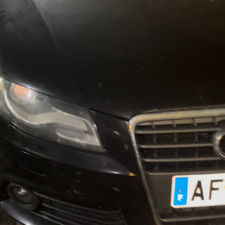 Taxi Fourneaux: Audi