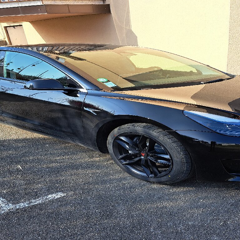 Mietwagen mit Fahrer Blotzheim: Tesla