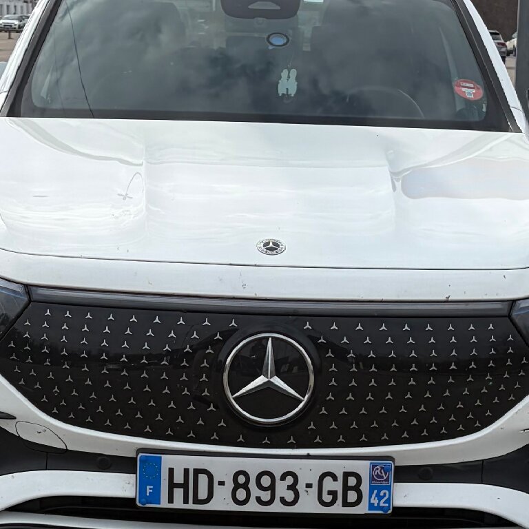 Mietwagen mit Fahrer Saint-Étienne: Mercedes